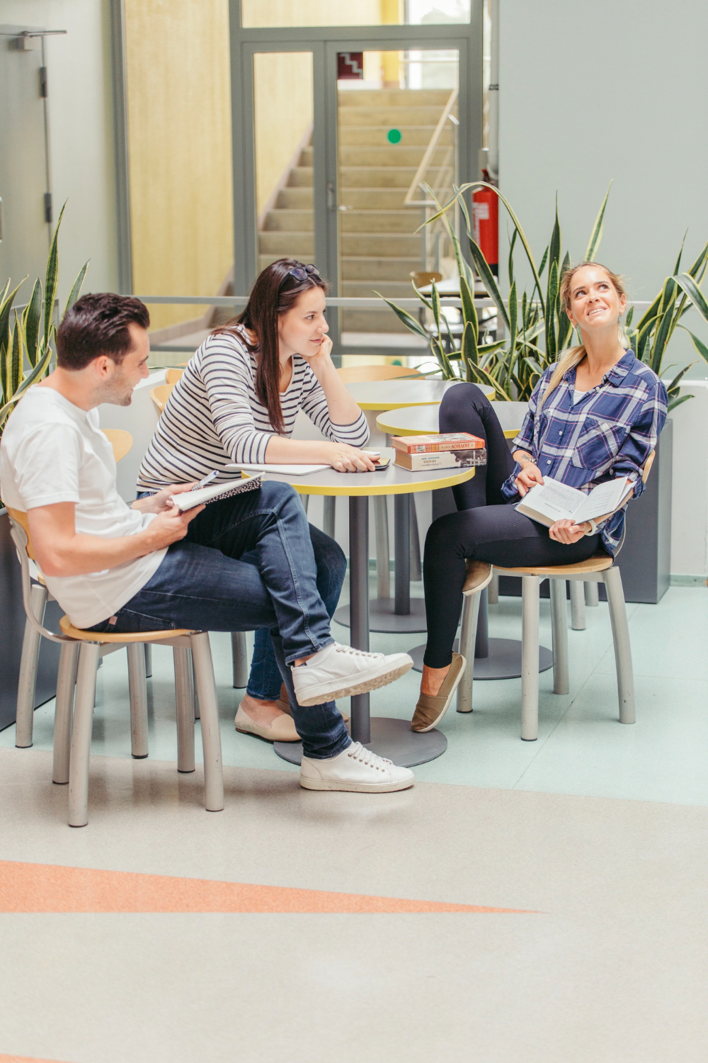 Aristone Capital Culture | Careers in Real Estate Investment Firm